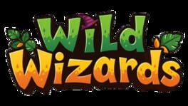 Wild Wizards artwork 1