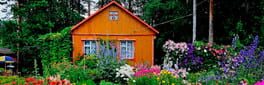 Dacha artwork 1