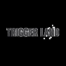 Trigger Land artwork 2