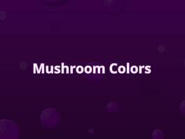 Mushroom Colors artwork 2