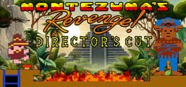 Montezuma's Revenge: Director's Cut artwork 1