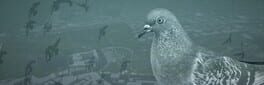 Pigeon: A Love Story artwork 1