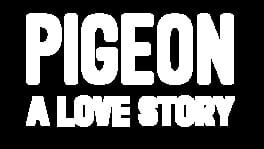 Pigeon: A Love Story artwork 2