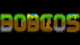 Bobcos artwork 2