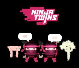 The Last Ninja Twins artwork 1