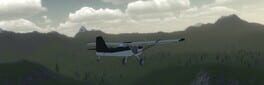 Solid Flight artwork 1