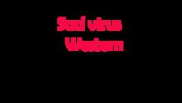Sad Virus Western artwork 2