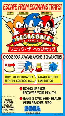 SegaSonic the Hedgehog artwork 13
