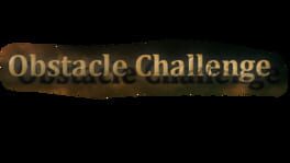 Obstacle Challenge artwork 2