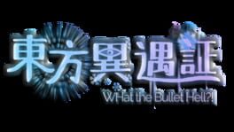 Touhou Iyuushou: What the Bullet Hell?! artwork 2