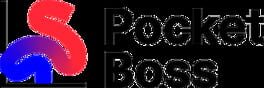 Pocket Boss artwork 3