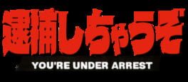 You're Under Arrest artwork 1