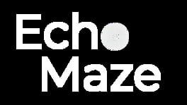 Echo Maze artwork 2
