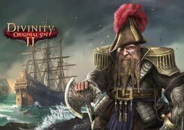 Divinity: Original Sin II artwork 2