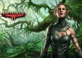 Divinity: Original Sin II artwork 6