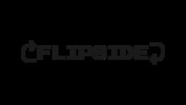 Flipside artwork 2