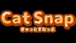 Cat Snap artwork 2