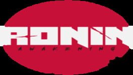 Ronin Awakening artwork 2