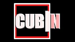Cubin II artwork 3