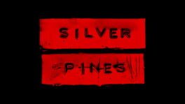 Silver Pines artwork 4