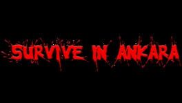 Survive In Ankara artwork 1