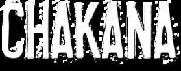 Chakana artwork 2