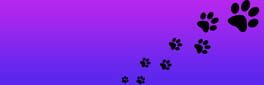 Roxy Raccoon 3: Troubles in Time artwork 2