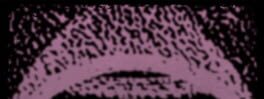 Epithymía artwork 1