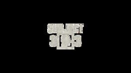 Subject 33 artwork 2