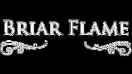 Briar Flame artwork 2