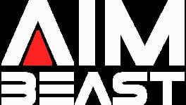 Aimbeast artwork 2