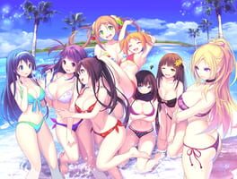 Valkyrie Drive: Bhikkhuni - Nyuu Nyuu DX Pack artwork 1