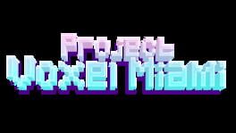 Project Voxel Miami artwork 2