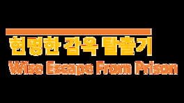 Wise Escape From Prison artwork 2