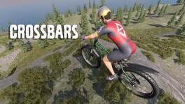 Crossbars artwork 1