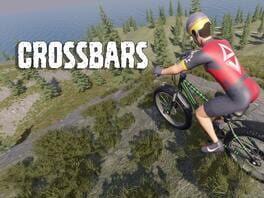 Crossbars artwork 3