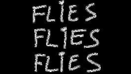 Flies Flies Flies artwork 1