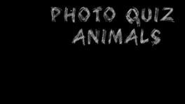 Photo Quiz: Animals artwork 2