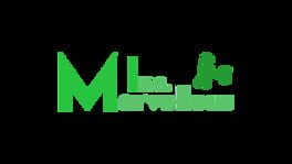 Marvellous Inc. artwork 1