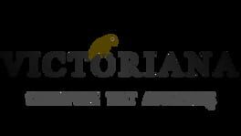 Victoriana - Steampunk Text Adventure artwork 1