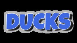Ducks artwork 2