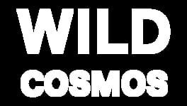 Wild Cosmos artwork 2