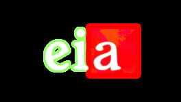 Eia artwork 1