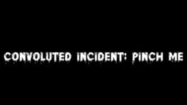 Convoluted Incident: Pinch me artwork 2
