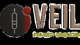 Veil: Project Conductor artwork 2