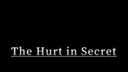 The Hurt in Secret artwork 2
