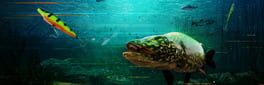 The Catch: Carp & Coarse Fishing - Lake Beasts Equipment Pack artwork 1