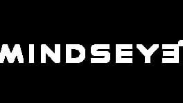 MindsEye artwork 5