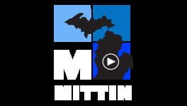 Mittin artwork 2