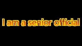 I am a Senior Official artwork 2